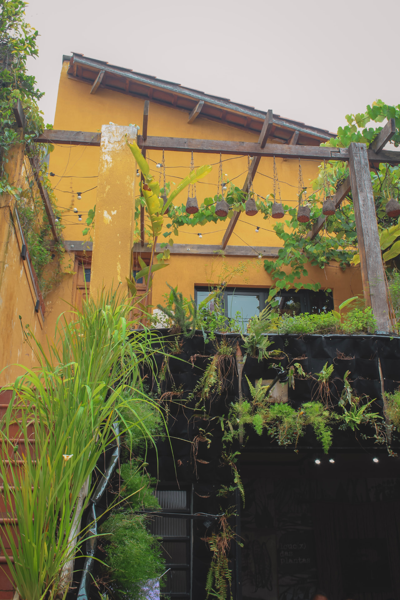 Fachada da casa com jardim vertical e plantas